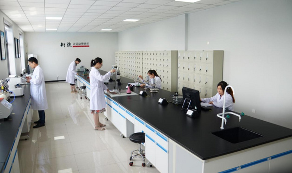 劲踏地板科技助力2025河北省大学生羽毛球锦标赛 以专业地胶护航青春赛场