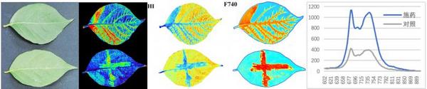 【免费样品测试，欢迎实验合作】FluorTron多功能高光谱成像分析系统