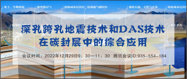 深孔跨孔地震技術和DAS技術在碳封層中的綜合應用