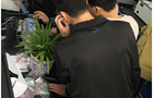 新一代LCpro T光合仪落户中国