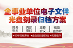 迪美視-企事業電子文件光盤刻錄歸檔方案