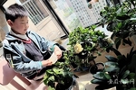 安徽蕪湖市50.8萬名中小學生有序開展線上教學 智慧課堂無縫對接