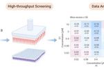 高通量筛选技术加速联合用药研究 | MCE
