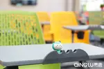 石河子大學，我們又見面了！