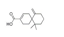 花柏烯酸，β-花柏烯酸，β-chamigrenic acid