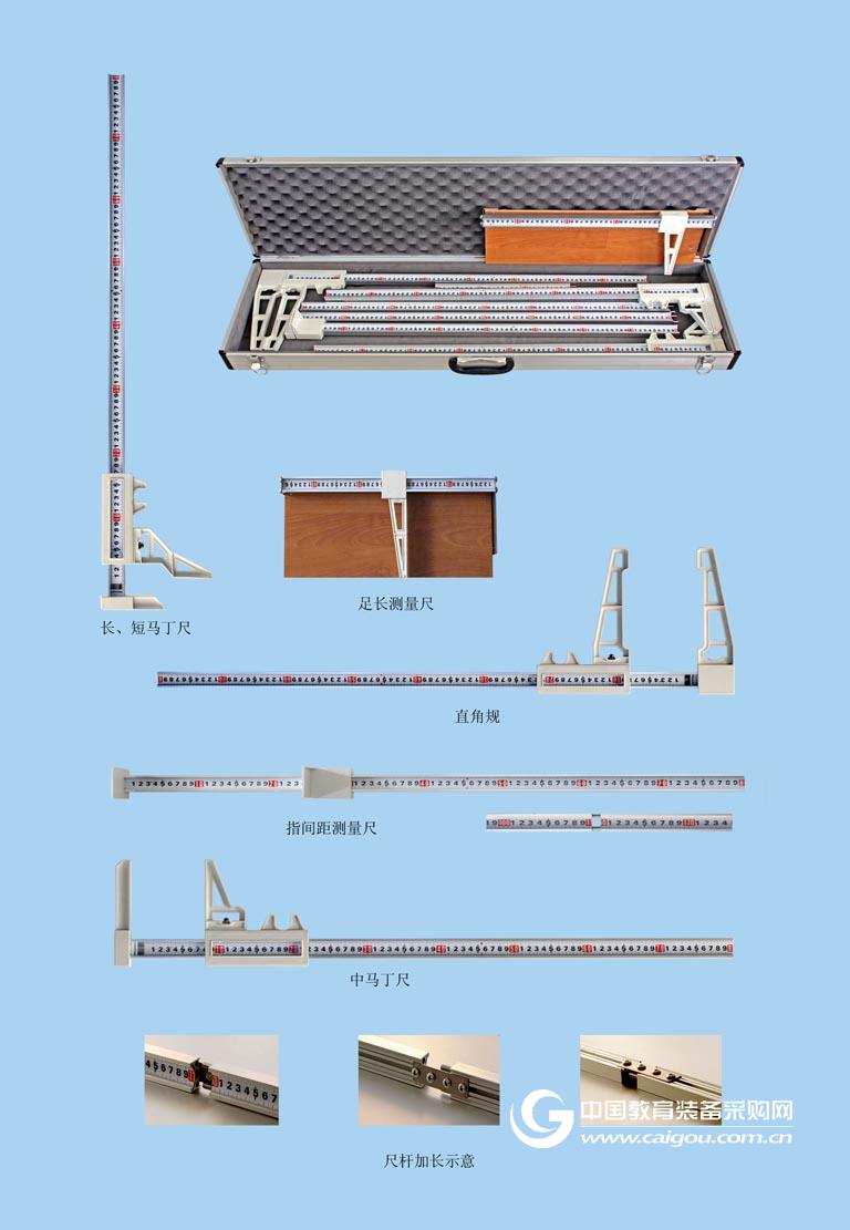 人体形态测量尺