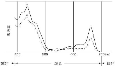 叶绿素仪生产/便携式叶绿素仪厂家/SPAD502