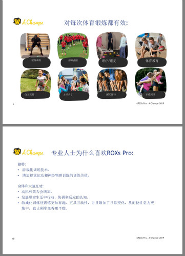 ROXs PRO 敏捷度训练反应系统
